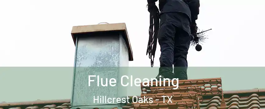 Flue Cleaning Hillcrest Oaks - TX