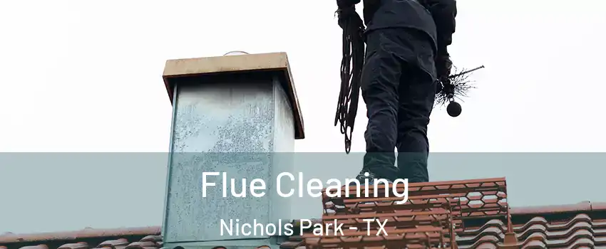 Flue Cleaning Nichols Park - TX