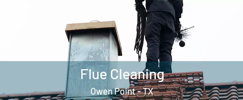 Flue Cleaning Owen Point - TX