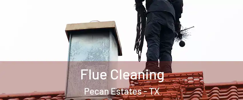Flue Cleaning Pecan Estates - TX