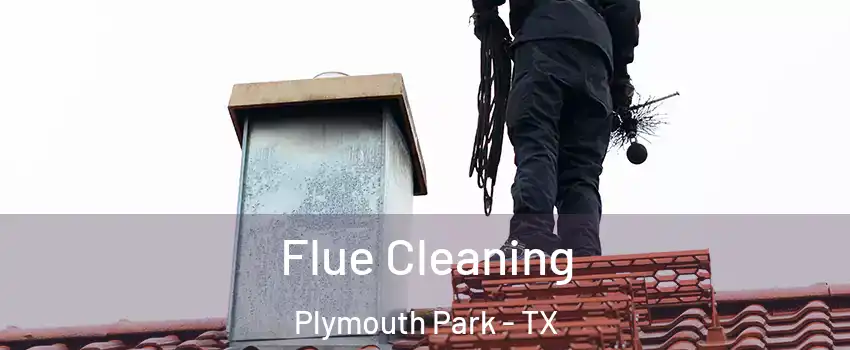 Flue Cleaning Plymouth Park - TX