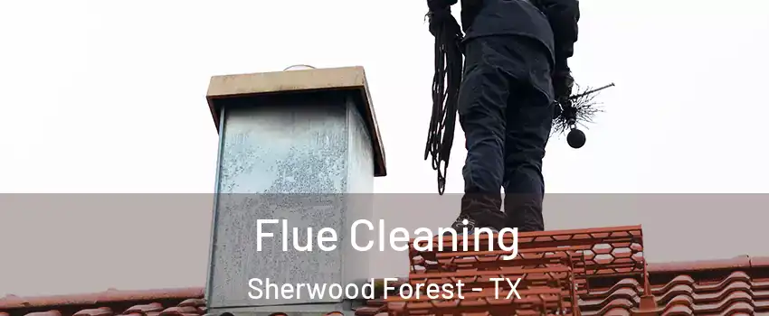 Flue Cleaning Sherwood Forest - TX