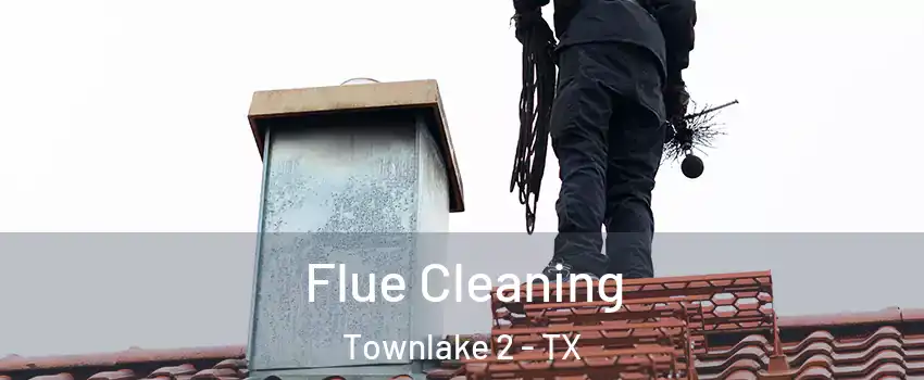 Flue Cleaning Townlake 2 - TX