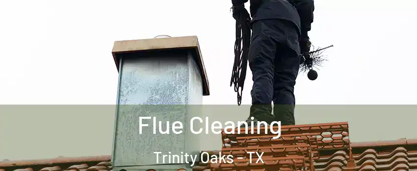 Flue Cleaning Trinity Oaks - TX