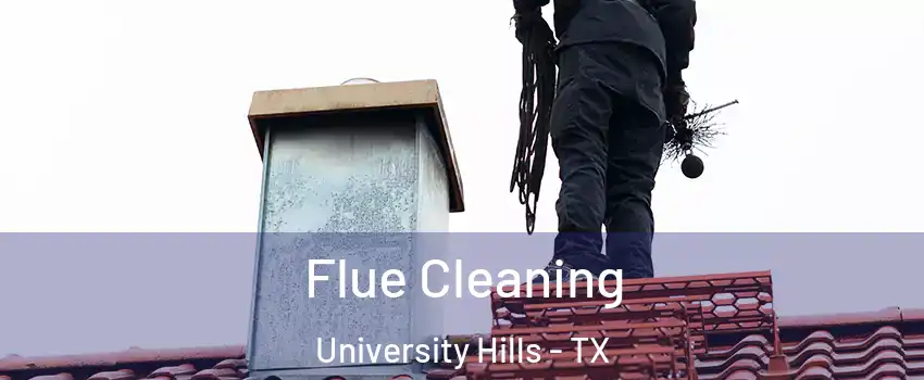 Flue Cleaning University Hills - TX
