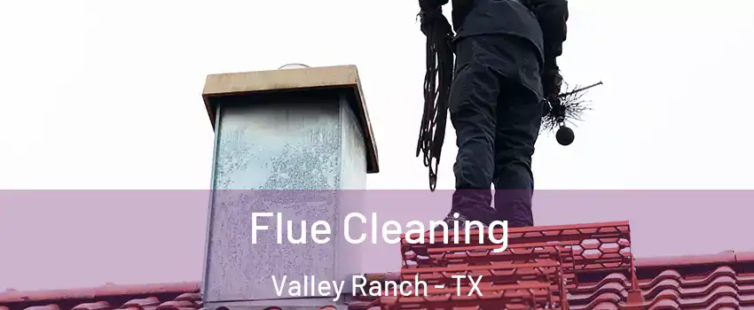 Flue Cleaning Valley Ranch - TX
