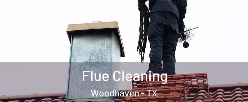 Flue Cleaning Woodhaven - TX