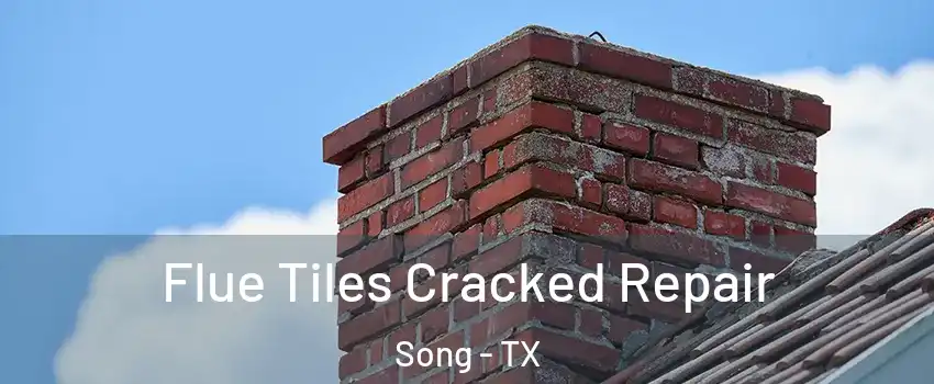 Flue Tiles Cracked Repair Song - TX