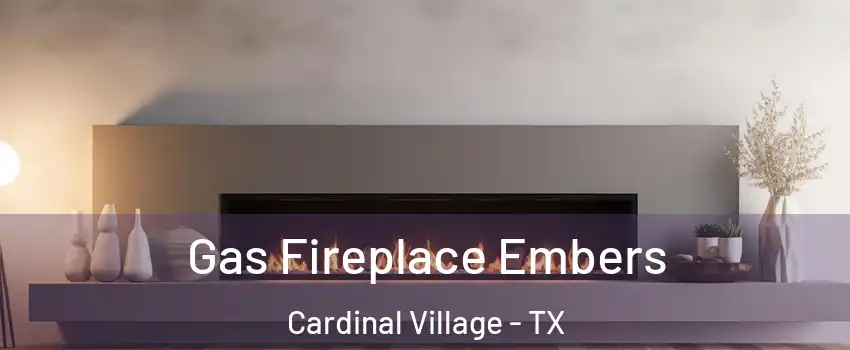 Gas Fireplace Embers Cardinal Village - TX