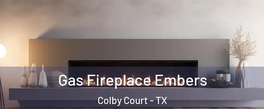 Gas Fireplace Embers Colby Court - TX