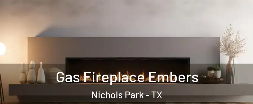 Gas Fireplace Embers Nichols Park - TX