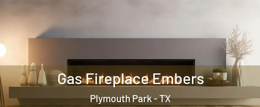 Gas Fireplace Embers Plymouth Park - TX