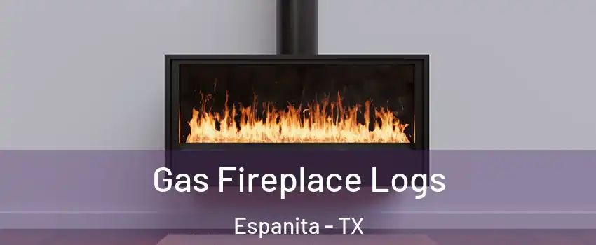 Gas Fireplace Logs Espanita - TX