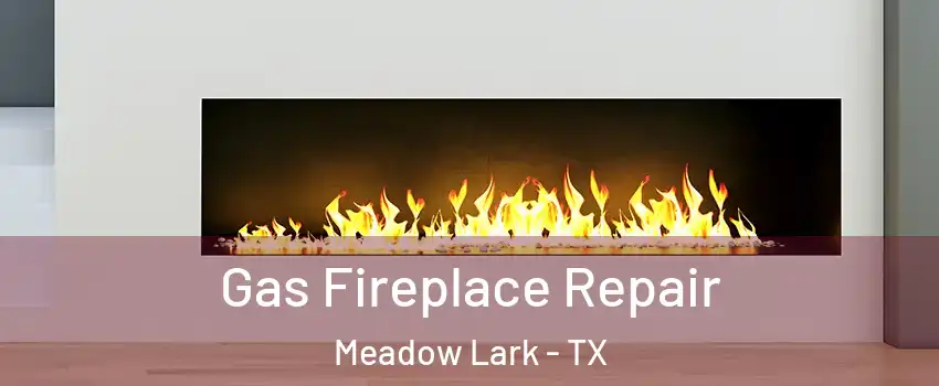 Gas Fireplace Repair Meadow Lark - TX