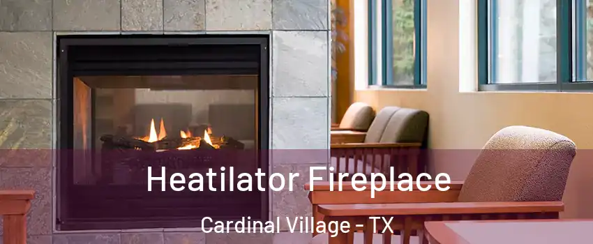 Heatilator Fireplace Cardinal Village - TX