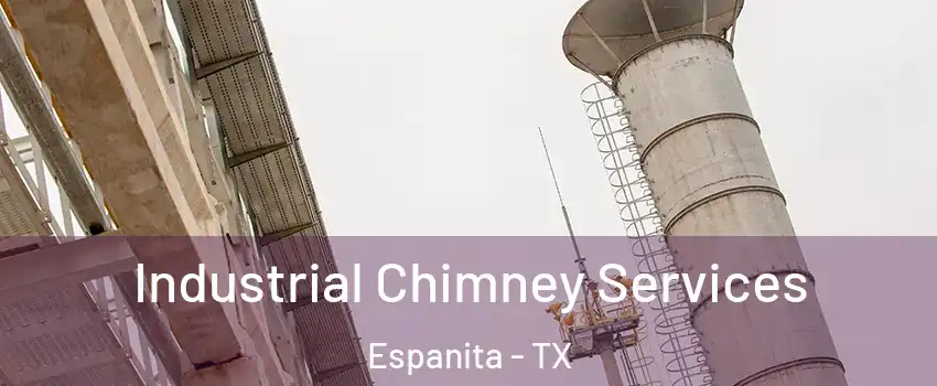 Industrial Chimney Services Espanita - TX