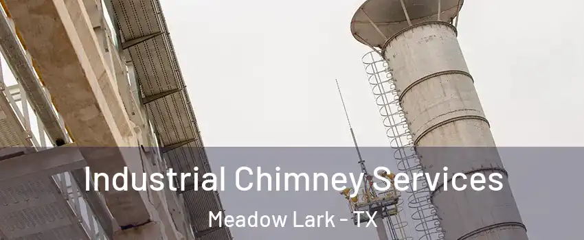 Industrial Chimney Services Meadow Lark - TX
