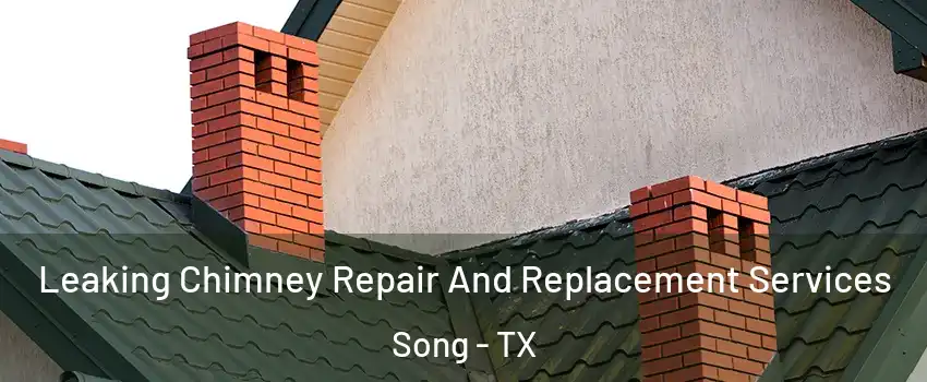Leaking Chimney Repair And Replacement Services Song - TX