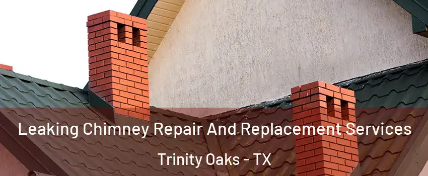 Leaking Chimney Repair And Replacement Services Trinity Oaks - TX