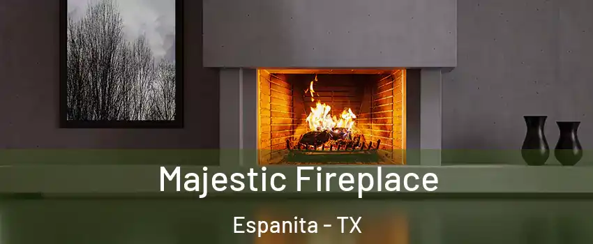 Majestic Fireplace Espanita - TX