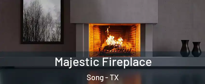 Majestic Fireplace Song - TX