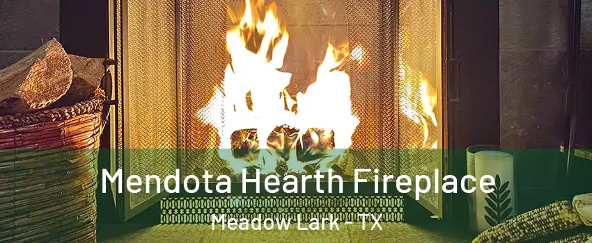 Mendota Hearth Fireplace Meadow Lark - TX