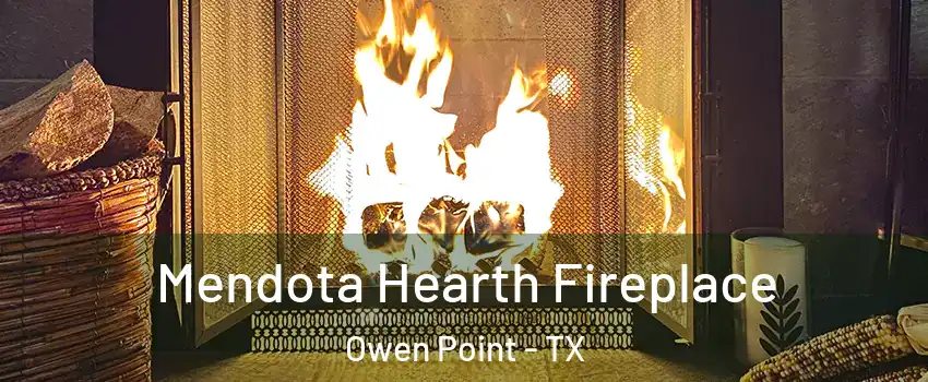 Mendota Hearth Fireplace Owen Point - TX