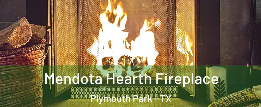 Mendota Hearth Fireplace Plymouth Park - TX