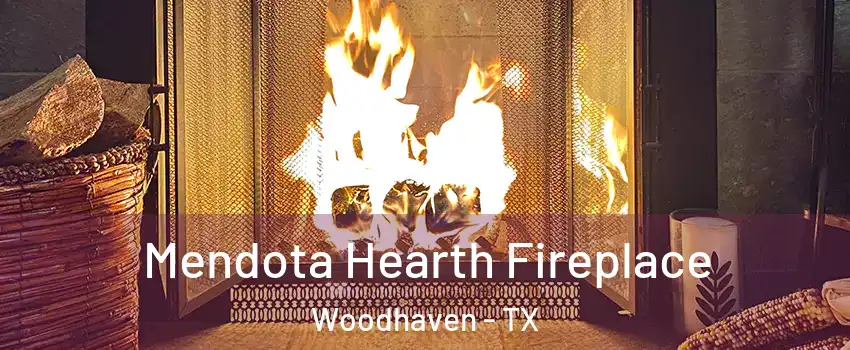 Mendota Hearth Fireplace Woodhaven - TX