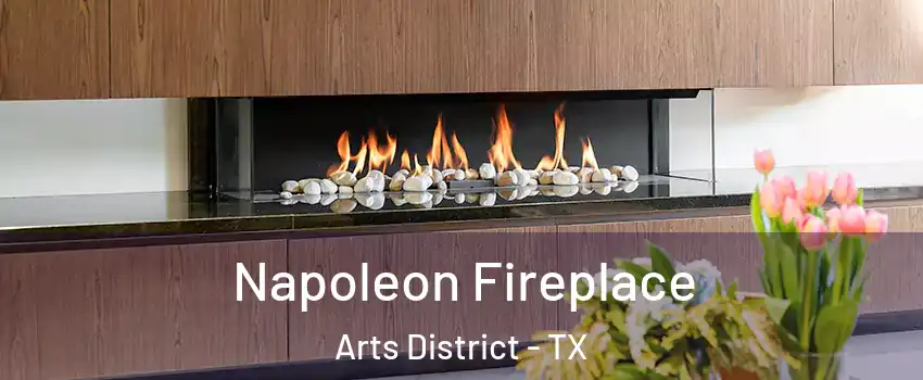 Napoleon Fireplace Arts District - TX