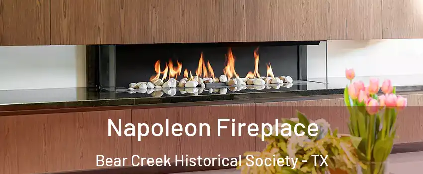 Napoleon Fireplace Bear Creek Historical Society - TX