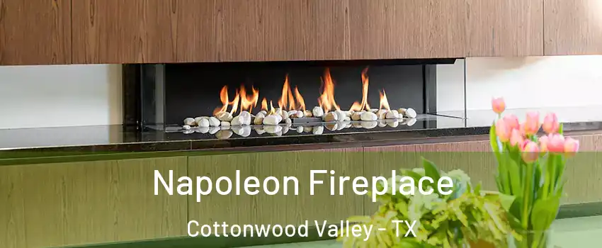 Napoleon Fireplace Cottonwood Valley - TX