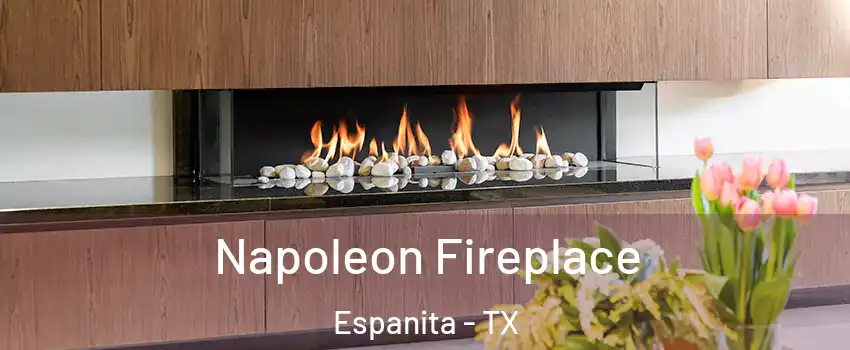 Napoleon Fireplace Espanita - TX