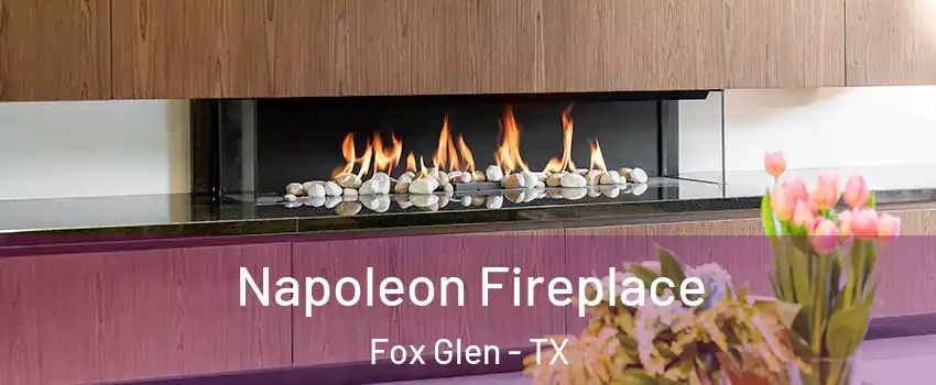 Napoleon Fireplace Fox Glen - TX