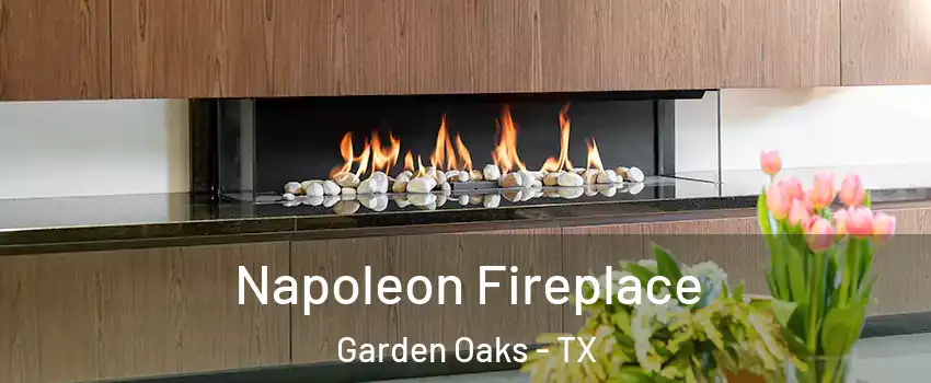 Napoleon Fireplace Garden Oaks - TX