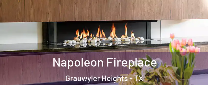 Napoleon Fireplace Grauwyler Heights - TX