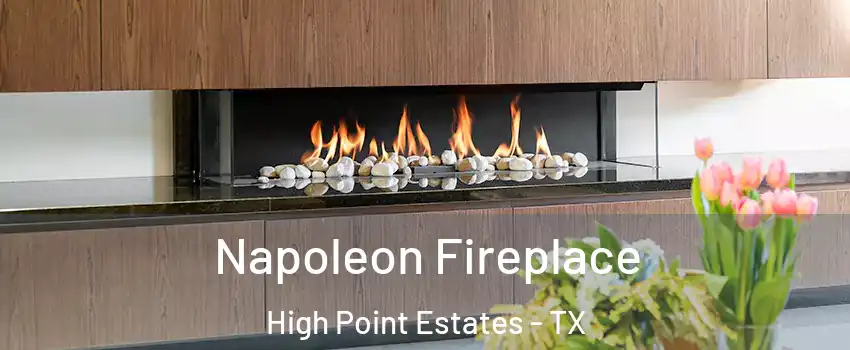 Napoleon Fireplace High Point Estates - TX