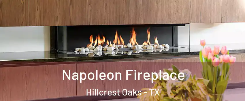 Napoleon Fireplace Hillcrest Oaks - TX