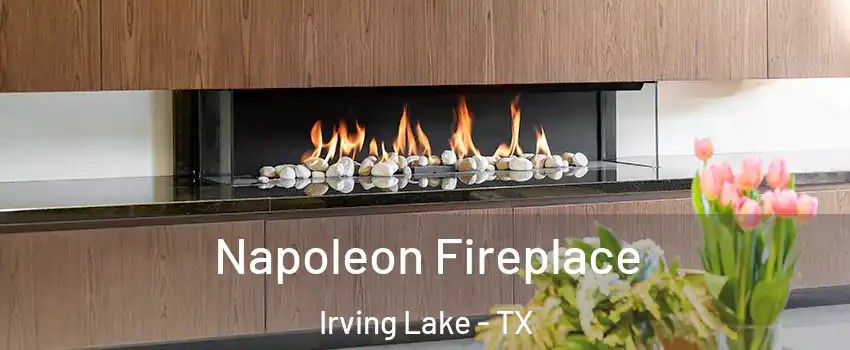 Napoleon Fireplace Irving Lake - TX