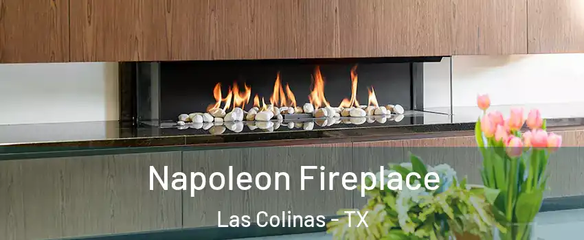 Napoleon Fireplace Las Colinas - TX