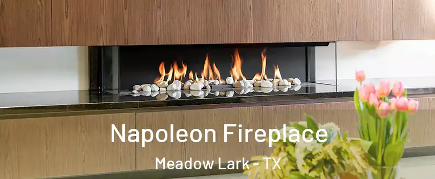Napoleon Fireplace Meadow Lark - TX