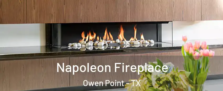Napoleon Fireplace Owen Point - TX