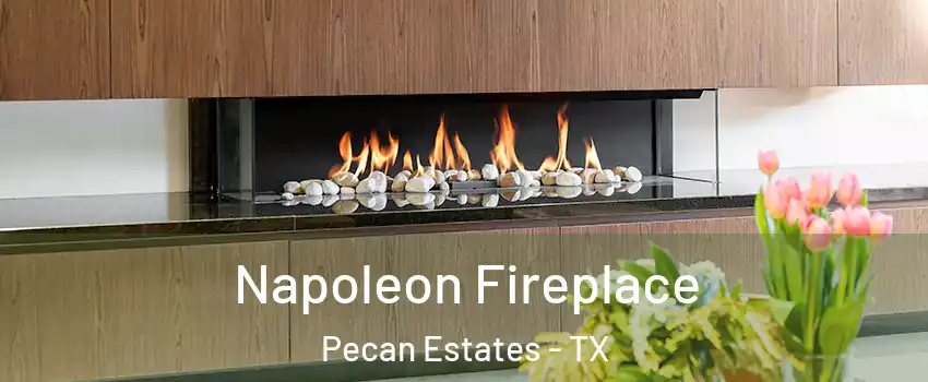 Napoleon Fireplace Pecan Estates - TX