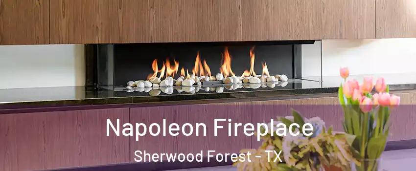 Napoleon Fireplace Sherwood Forest - TX