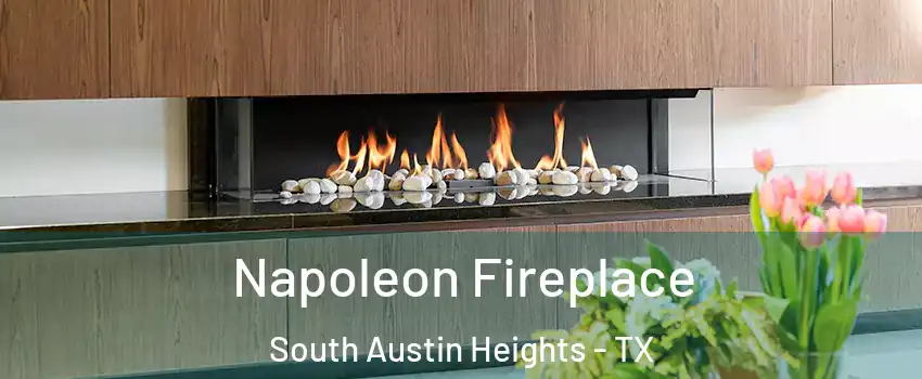 Napoleon Fireplace South Austin Heights - TX