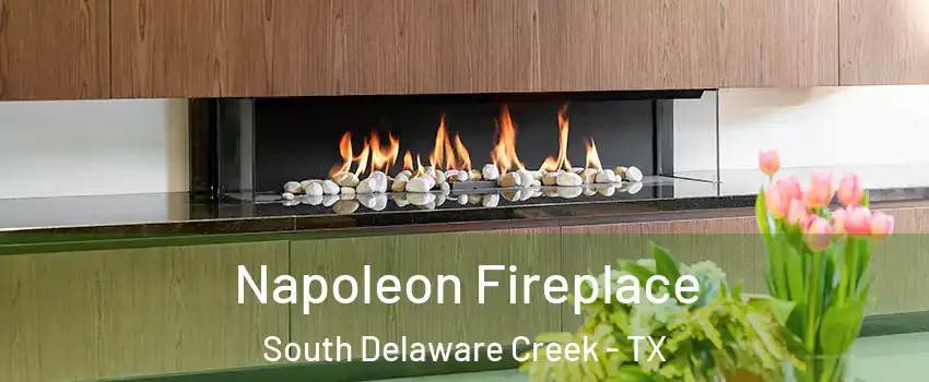 Napoleon Fireplace South Delaware Creek - TX