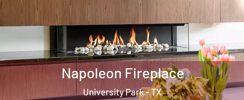 Napoleon Fireplace University Park - TX