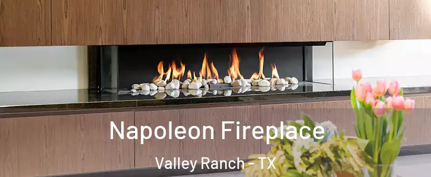 Napoleon Fireplace Valley Ranch - TX