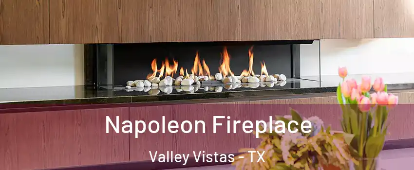 Napoleon Fireplace Valley Vistas - TX
