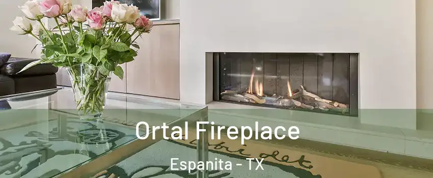 Ortal Fireplace Espanita - TX